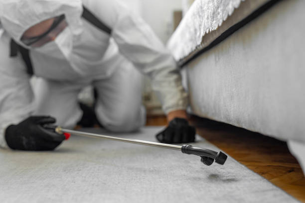 Professional Termite Control technician working in Bemidji, MN