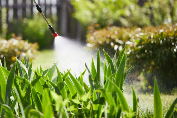 24/7 Emergency Termite Control experts in Bemidji, MN