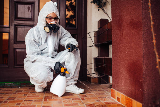 Reliable Termite Control contractor in Bemidji, MN by Nex Pest Control