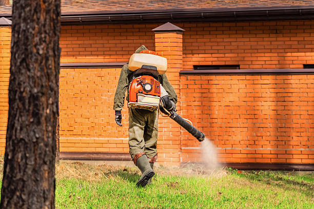 Top rated local Termite Control specialists in Bemidji, MN